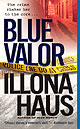 Blue Valor, Detective Kay Delaney